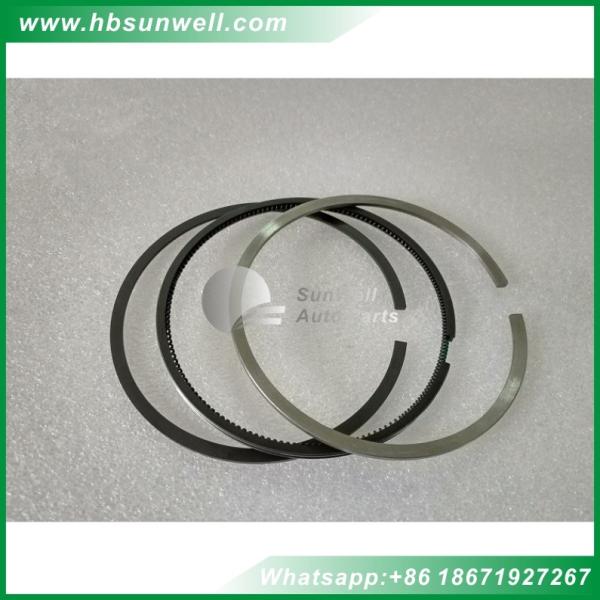 Cummins 6BT5.9 Engine Cummins Piston Ring 3802230 3802231 3802056 3802050