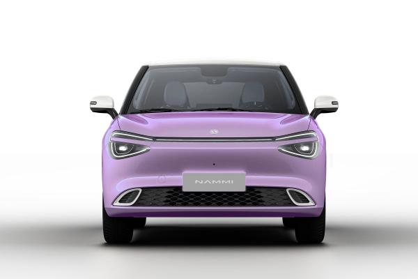 Hot-Sale 2024 Electric Cheap SUV Factory Supplier Carro Electrico Dongfeng Nami