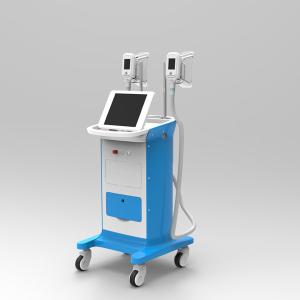 Wholesale sculpt your body sculptor cheap liposuction cost 2 handles working 15 inch screen -15 Celsius from china suppliers