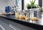 Cationic Polymer Sludge Conditioner Mining Industry Chemical Sedimentation