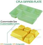 plastic tray, food tray, food container, Fast Food Tray biodegradable plastic 5