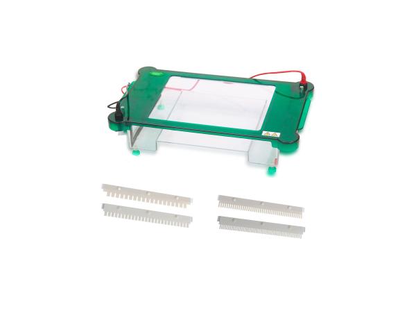 Durability Agarose Gel Electrophoresis Equipment Horizontal Electrophoresis Cell