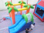 Colorful Jungle Combo Slide (CYBC-36)