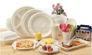Wholesale 100% Biodegradable and compostable sugarcane pulp packaging disposable paper plate,sugarcane baggase oval paper plate ba from china suppliers