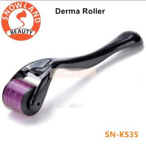China Derma Roller Factory Direct Wholesale 540 Needles Derma Roller, Micro Needling Skin Roller on sale