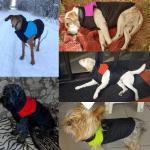 Waterproof Dog Coats , Warm Puppy Winter Clothes / Vest / Jacket