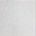 Aluminum Decorative Waterproof Ceiling Tiles , Suspended Ceiling Panels