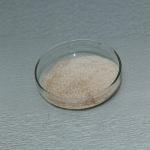 Food Grade Flavourzyme Novozymes For Protein Peptide Processing , Weakening