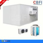CBFI VCR5070 Blast Chiller Commercial , Air Blast Freezing For Drink / Beer