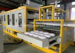 PS Disposable Foam Food Container Machine / Foam Sheet Machine