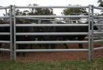 Pvc Coated Galvanized 12ft Metal Cattle Panels Heavy Duty Metal Round Pen Cattle