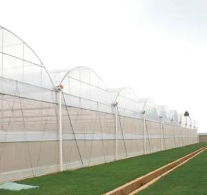 Wholesale 30-Day Return Guarantee Anti-Drip Fogging Double-Film Greenhouse Structure jx-fg-001 from china suppliers