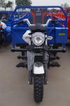 0.38T Motorized Adult Tricycle