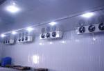 Walk-in freezer for supermarket beverage display