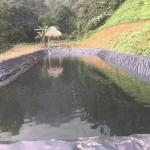 Long Length 0.2-2.5mm HDPE Geomembrane Fish Farm Pond Liner with 0.940g/cm3