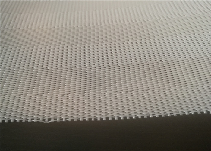 Paper Making Press SGS Polyester Sludge Dewatering Belt