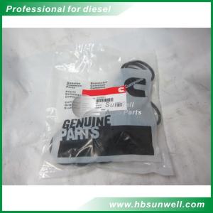 Wholesale Cummins Original K19 KTA19 Engine Water Pipe Rubber O Ring Seal 3028291 145608 from china suppliers