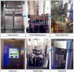 NJP-2000 Large Hard Capsule Filling Machine for Pharmaceutical Enterprise