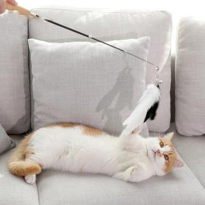 Wholesale Flexible Cat Wand Toy , Multicolor Retractable Cat Toy Stick With Feather from china suppliers