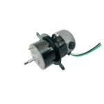 60mm Diameter Permanent Magnet Brushless DC Motor Wtih Mounting Flange D60