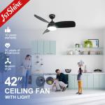 Pure Copper Motor 42-inch LED Ceiling Fan with Black ABS Blades and Metal
