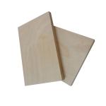 Full Hardwood Core MR 12mm Film Faced Birch Plywood