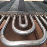 ASME Standard Horizontal Boiler Economizer Painted H Fin Tube Gas Fired Power