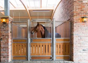 China 4.0x2.2m Horse Stables and Barns Metal Buildings , Easy to Set Up on sale