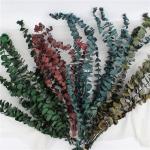 Customized Natural Preserved Foliage For Gift / Wedding / Home / Shop