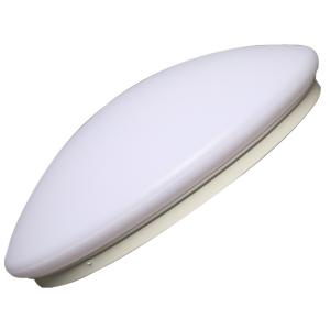 Wholesale PMMA IP54 Surface Mounted Ceiling Light Modern AC277V from china suppliers