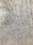 Jacquand Pile coating Luxury 50/70D Polyester Fur Static-free Anti-flaming