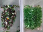 Grain Rice Seeds Tea Plastic Glass Color Sorter Machine