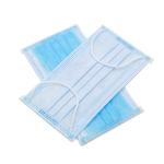 Health Protective 3 Ply Earloop Face Mask