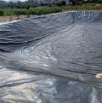 2mm HDPE Plastic Pond Liner as Fish Tank Waterproof Liner for Your Farming Needs