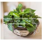 China manufacturer wicker garden baskets willow plant baskets round shape wall
