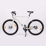 Urban Electric Bike with TRUCK Rear Drive 36V 250W Motor Customized Carbon Belt