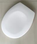 decor duroplastic toilet seat,solid white,with soft close hinge,S/S hinge,A00