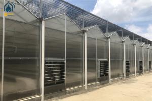 Wholesale Heavy Duty Smart Cultivation Polycarbonate Greenhouse Automated Hydroponic Greenhouse from china suppliers