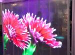 Flexible transparency adhesive LED Film Screen thin Advertising Video Wall