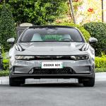 Sustainable New Energy Vehicles Powered High Speed Electric Car 100km