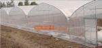 Agriculture silver black plastic mulch film 8 micron,Reflective and Protective