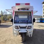 Multipurpose Mobile Electric Fast Food Snack Tricycle for Cooking Oil at 40kms