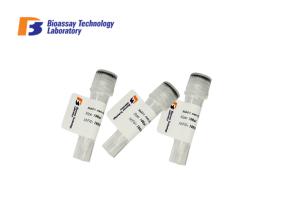 Wholesale ABCB5 Mouse Monoclonal Antibodies For Research 100ul / 50ul / 20ul High Purity from china suppliers