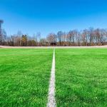 Football Artificial Turf Gauge 5/8 Inch PE material Green color Fake Grass For