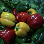 Aquaponics Flower Planting Sparay Irrigation Vegetable Sunlight Greenhouse for