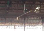 Horizontal Air Cooler HVLS Ceiling Fan 24 Foot Industrial Ceiling Fan ODM