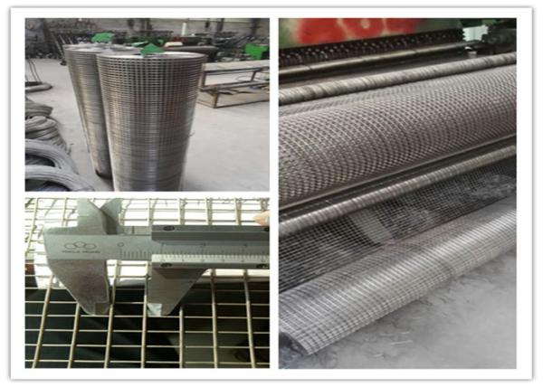 Quality 1/2 " 18G Stainless Steel Welded Wire Mesh Rolls for sale