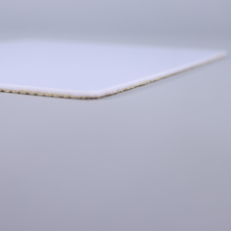 Polystyrene Non Skid Backing Cleanroom Sticky Mat Mold Mildew Resistant