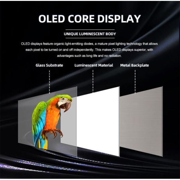 55 Inch High-Quality OLED Transparent TV Screens with Brilliant Colors and Outstanding Display