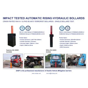 Beijing Zhuoaoshipeng Technology Co., Ltd.